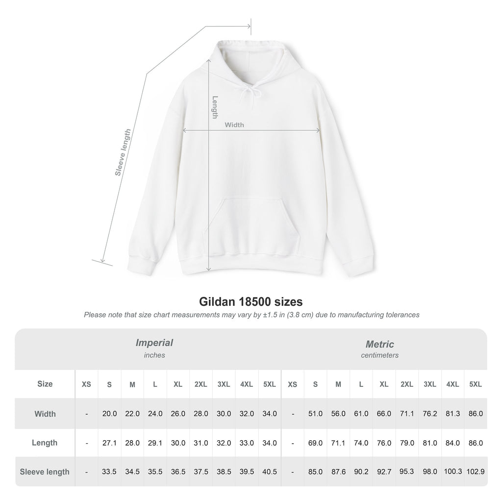 Air Force JROTC Emblem Hoodie